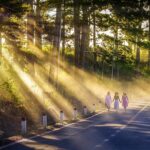 le chemin spirituel