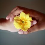 La théorie de l'attachement