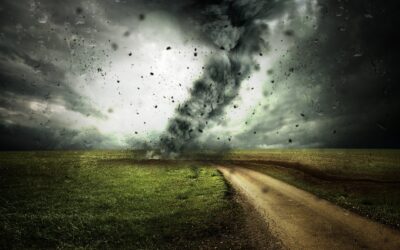 Éco-anxiété : comment penser la crise écologique autrement ?